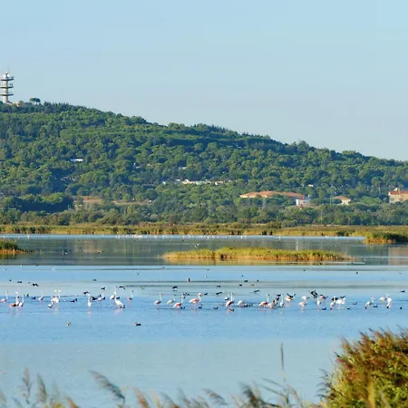 Lagrange Les Pescalunes Hotel
