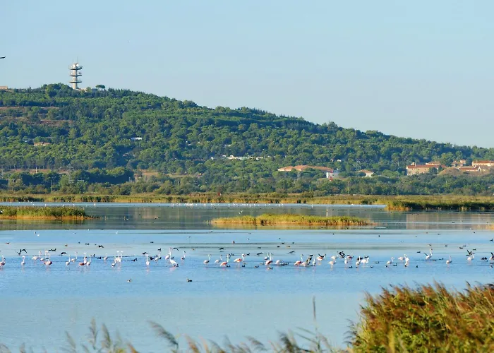 Lagrange Les Pescalunes ホテル